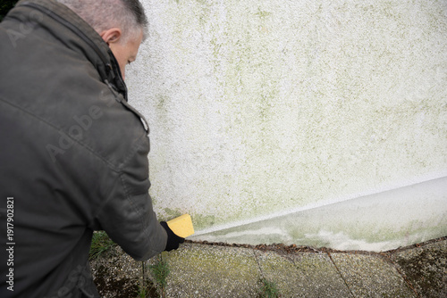 Man inspects and cleans mold and moss on facade with a sponge