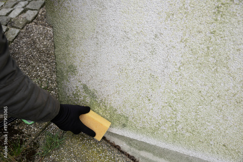 Man inspects and cleans mold and moss on facade with a sponge