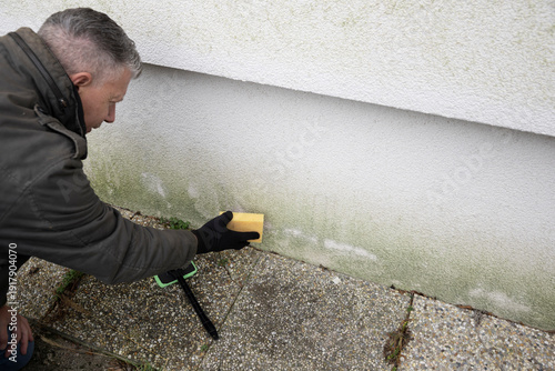 Man inspects and cleans mold and moss on facade with a sponge