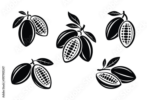 Black and White Cocoa Pod with Leaves