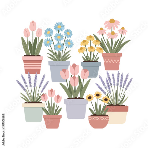 Potted Flowers Collection: Tulips, Lavender, Daisies, Echinacea, Sunflowers