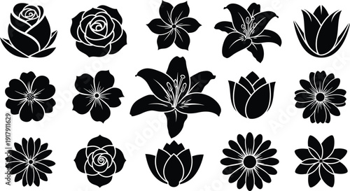 Black and white floral silhouettes on white background flowers 3