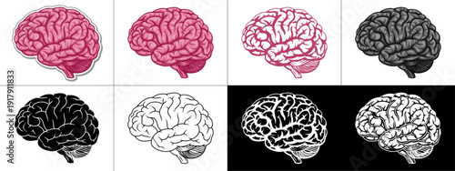 Human brain vector set collection featuring lineart monochrome silhouette and sticker versions for psychology medical education and mental health concept design with various artistic styles