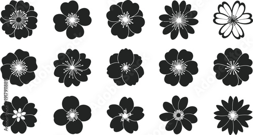 Black and white flowers with varying petal numbers and white centers petals