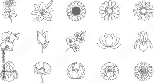 Black and white line of various flowers on white background