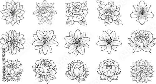 Black and white line of various flowers