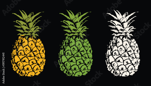 PINEAPPLE FRUIT VECTOR IMAGE WITH BLACK BACKGROUND