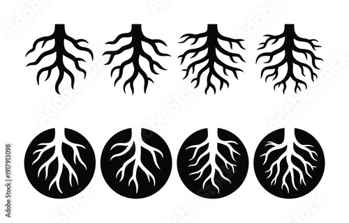 Black and White Stylized Tree Roots and Circular Root