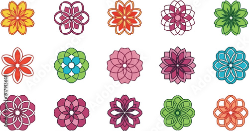Colorful flower on white background flowers patterns shapes petals