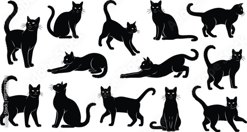 Black cat silhouette collection isolated on white background domestic feline poses vector illustration set for Halloween design