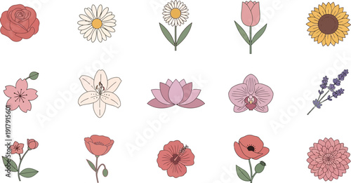 Various colorful flowers on white background rose daisy sunflower tulip