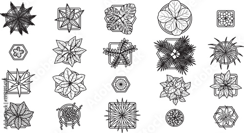 Overhead view of an array of detailed botanical illustrations showcasing various plant specimens, each meticulously crafted to highlight its unique form and intricate leaf structure.