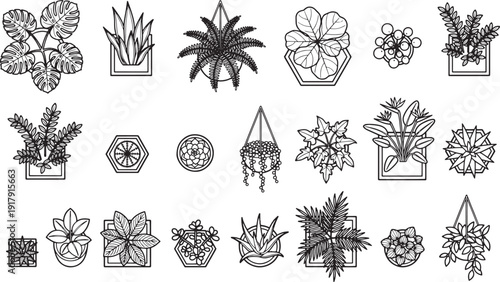 A curated collection of diverse indoor plant illustrations, meticulously crafted in a monochrome palette, showcases a variety of botanical textures and forms.