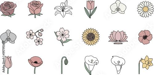 Various colored flower on white background flowers roses lilies tulips orchids
