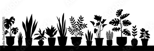Plants potted diverse silhouette set with various leaf shapes and pot styles on shelf featuring houseplants, botanical, foliage with greenery and decor elements for home decor, gardening projects,