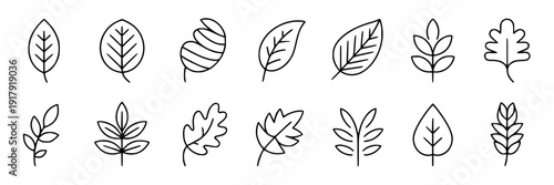 Leaves hand drawn set with minimalist outline designs and various shapes featuring design, nature, botanical with illustration and vector elements for art, drawing projects, clean composition on