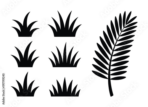 Black Silhouette of Grass Tufts and a Palm Frond on White Background