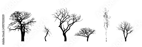 Trees minimalist silhouette set with bare branches and varying shapes featuring tree, black, white with simple and graphic elements for illustration, nature projects, clean composition on simple