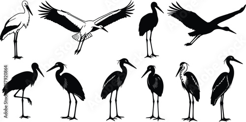 Stork and heron bird silhouette collection in standing and flying poses isolated on white background wildlife vector illustration set