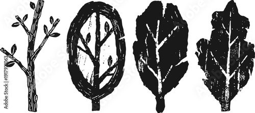 black ink brush painted leaf and branch set hand drawn botanical elements in rustic