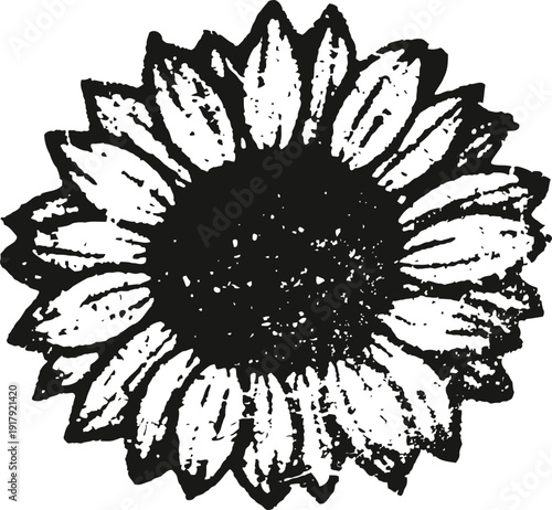 Monochrome sunflower illustration with detailed petals and textured center floral design