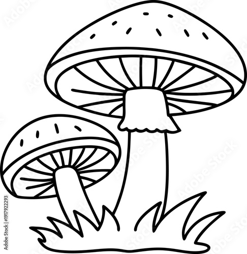 Illustration of two mushrooms growing in grass, outlined forest fungi drawing design
