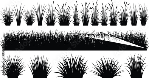 Grass and reed plant silhouette collection isolated on white background nature landscape vector illustration set