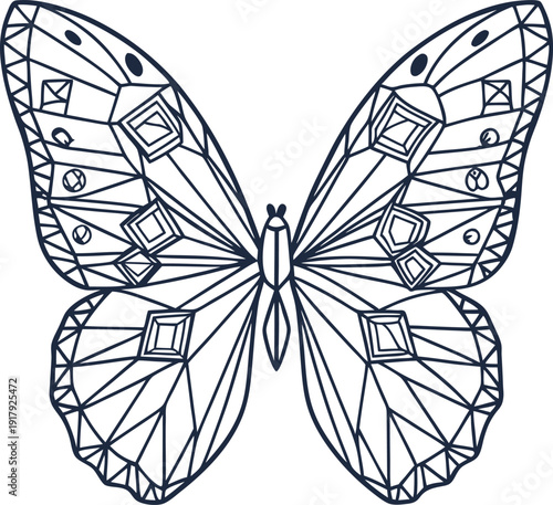 geometric butterfly outline illustration with abstract shapes and symmetrical wings design