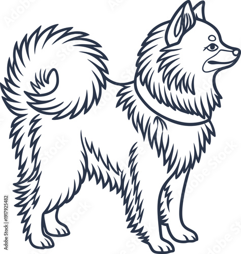 Fluffy dog standing with curled tail detailed line art of a small furry dog breed with alert ears and expressive eyes