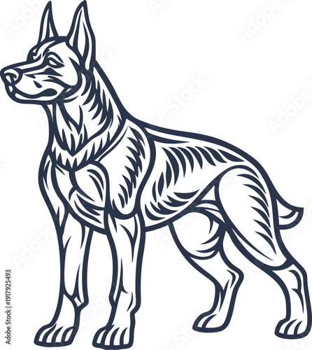 elegant german shepherd dog standing alert with detailed muscular line art design