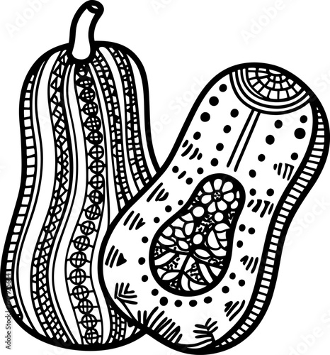 Decorative pumpkin and squash line art illustration with intricate patterns and textures