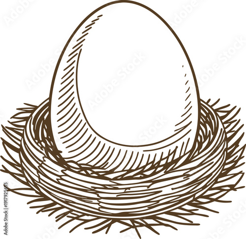 Single egg resting in a bird nest hand drawn vintage nest with large egg illustration