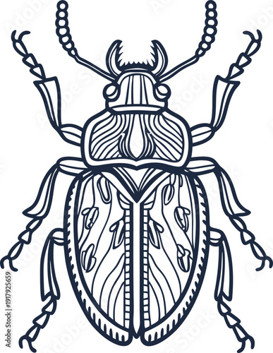 Intricate beetle line art illustration with detailed patterns and symmetrical design