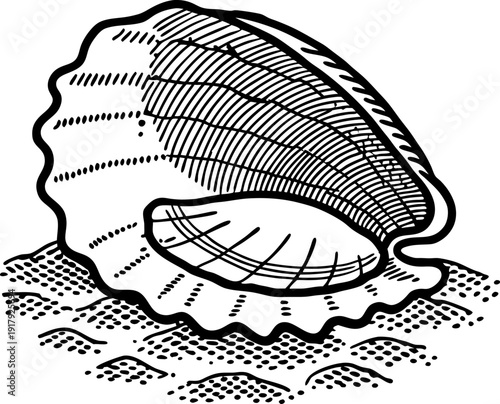 Open seashell with detailed shell texture lying on textured surface illustration