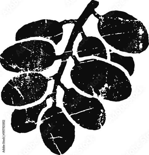 grunge leaf branch silhouette with detailed texture and natural organic elements