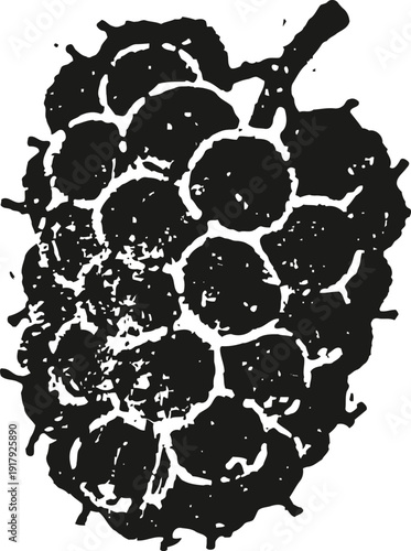 Black silhouette of grape cluster with stem and textured surface isolated on white