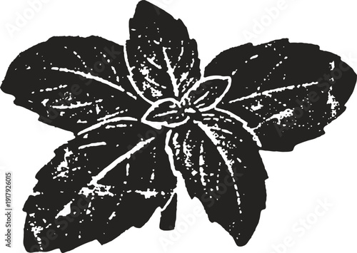 Black silhouette of a basil herb leaf cluster isolated on white background