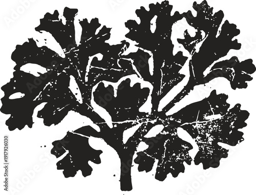 Black silhouette of kale leaf vegetable with textured surface illustration