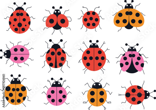 Cute ladybug collection vector set, colorful cartoon beetles illustration, flat design insects clipart isolated on white background