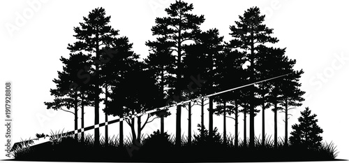 Pine forest silhouette landscape with tall trees and grassy ground against white sky creating natural wilderness background for stock and design use