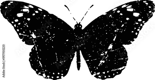 Black butterfly silhouette with detailed wings and symmetrical shape isolated on white background