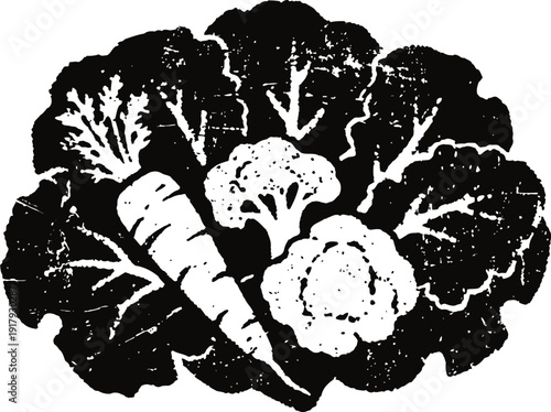 Fresh vegetables illustration with carrot, cauliflower, broccoli, and leafy greens in black and white