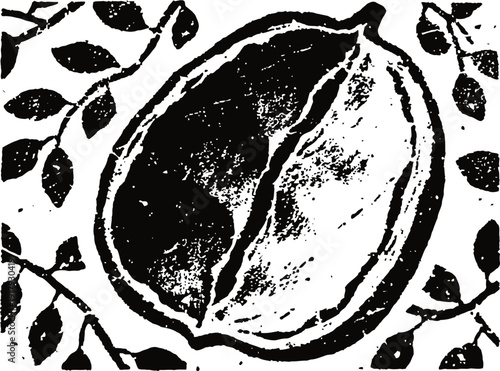 Close up of pecan nut with shell surrounded by leaves in black and white illustration