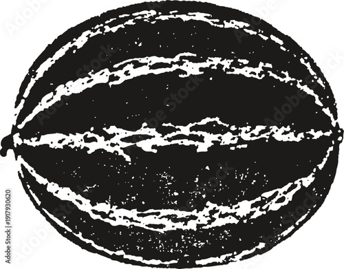 Hand drawn watermelon illustration with detailed rind texture and natural rustic