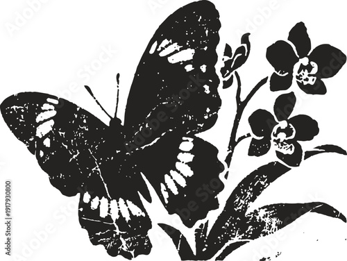Black butterfly perched on orchid flowers with leaves vintage botanical illustration