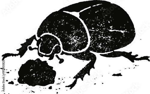Dung beetle close up illustration with detailed texture and natural dirt background
