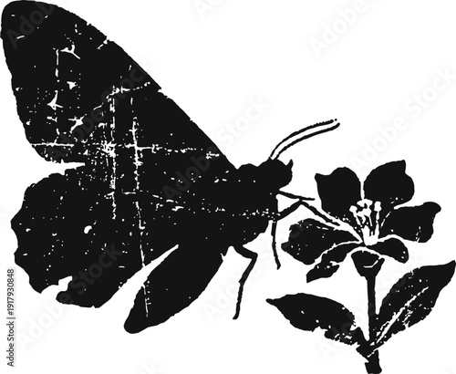Vintage butterfly silhouette feeding on flower with leaves black ink grunge