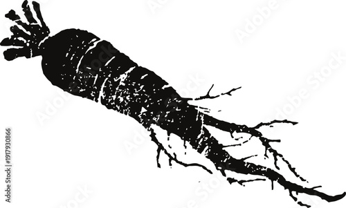 Black silhouette of a ginseng root with branches isolated on white background