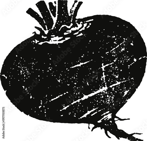 Vintage beetroot illustration hand drawn root vegetable with leafy top, rustic garden produce sketch