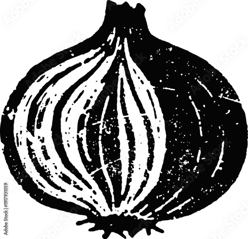 Black and white vintage onion illustration hand drawn vegetable art with rustic textured